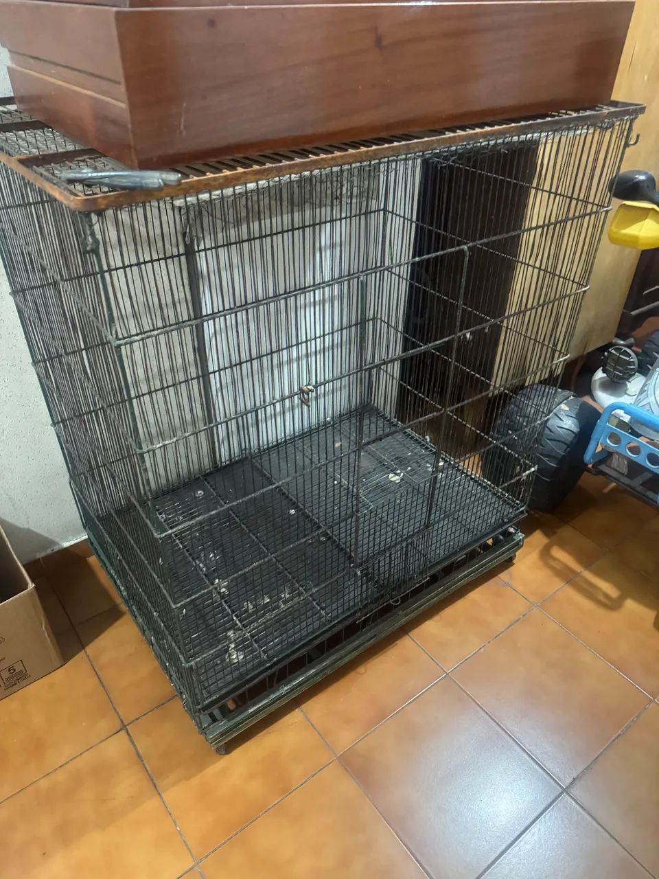 Gaiola  - Foto 2