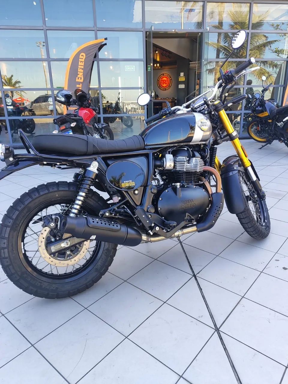 BEAR 650cc/ DAIANA  - Foto 3