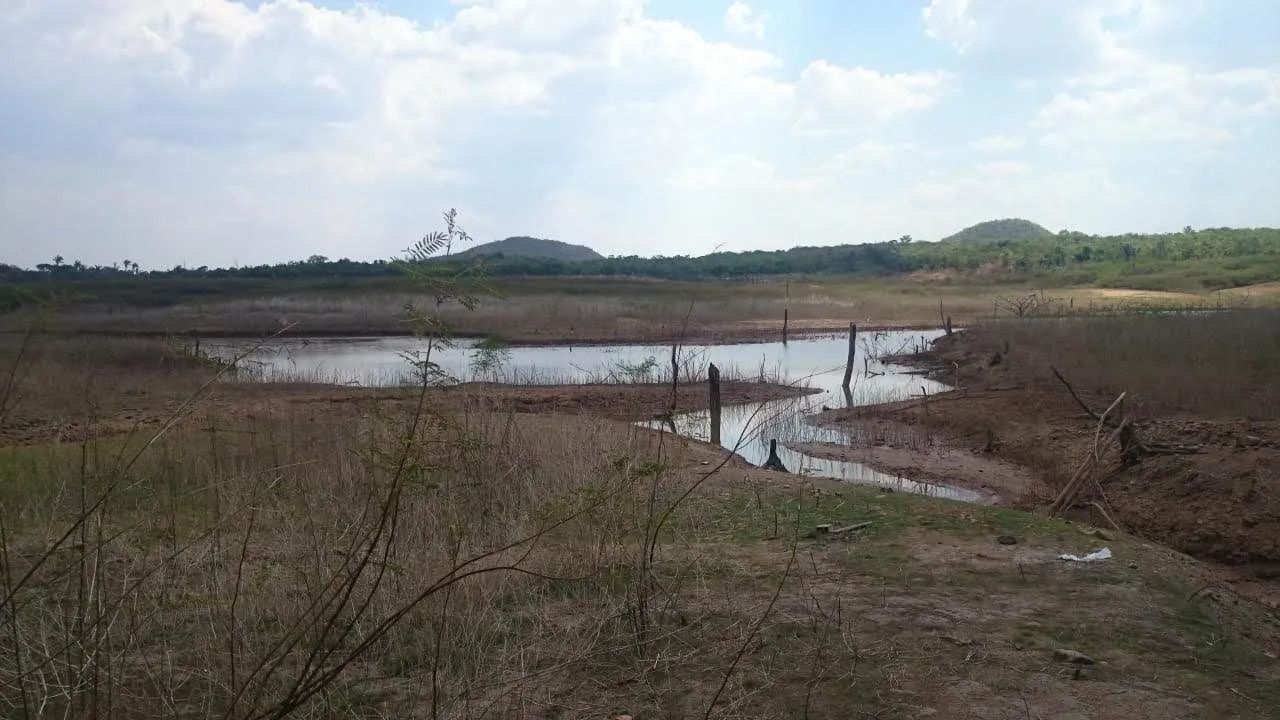 Imperdível  - Foto 5