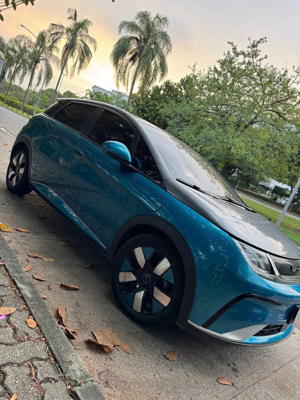 BYD Dolphin Plus (Elétrico) 2024 - Foto 5