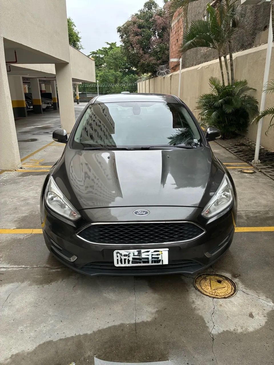 Ford Focus Focus 2.0 16V/SE/SE Plus Flex 5p Aut. 2017