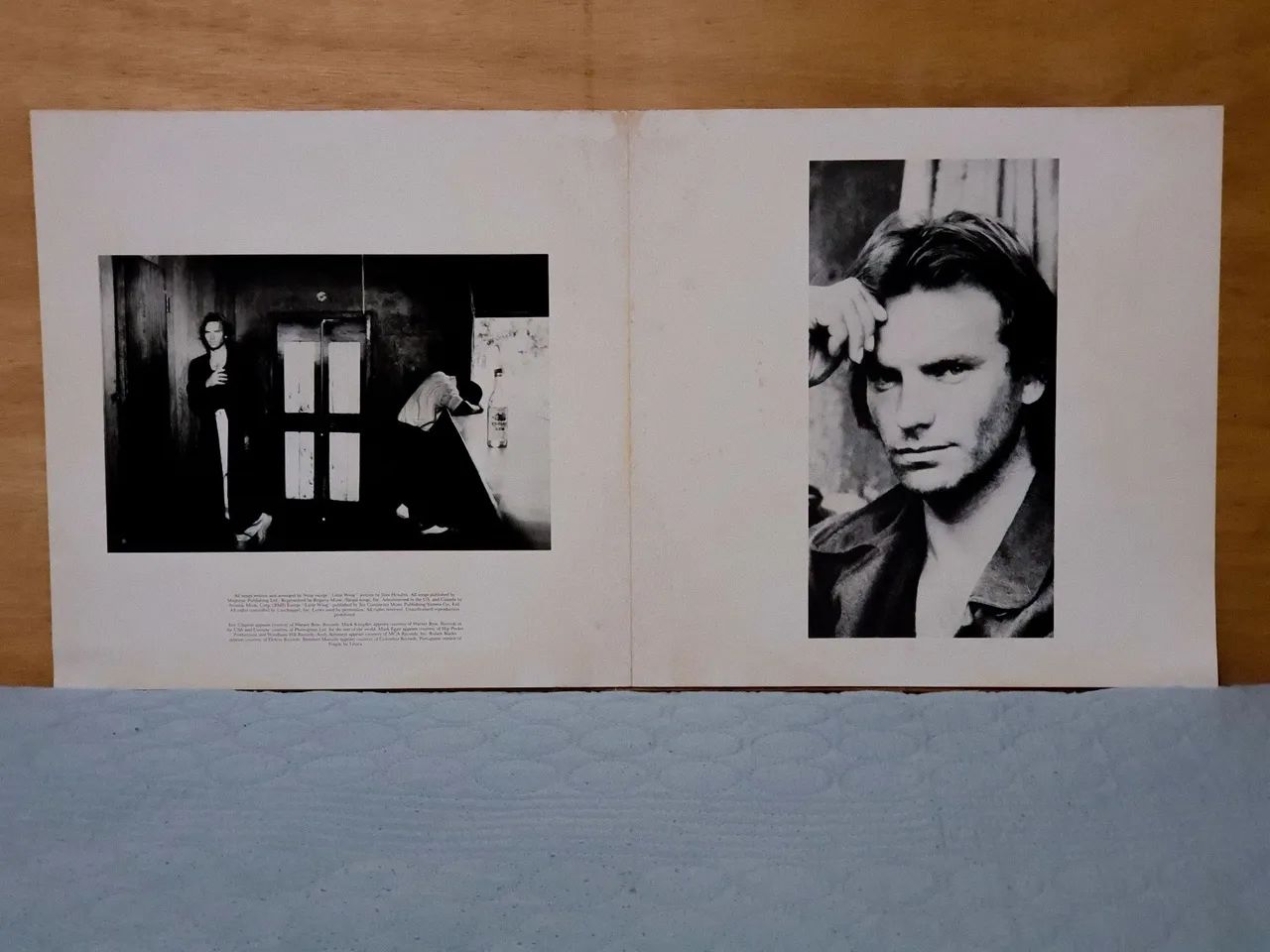 Disco de vinil: Sting - Nothing Like The Sun - Foto 4