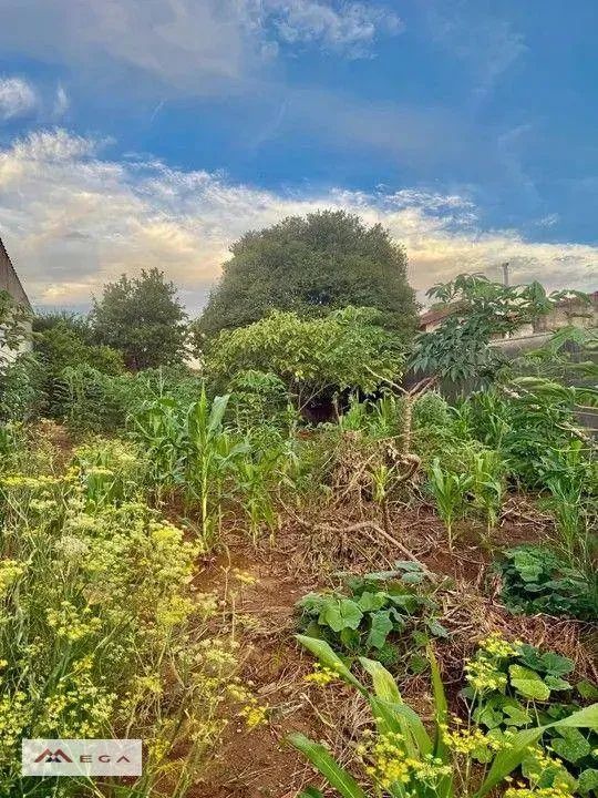 Terreno à venda, Campinas/SP - Foto 4