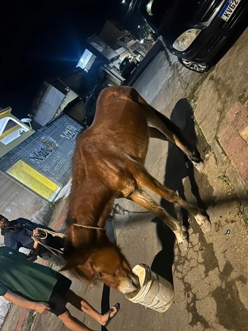 Vendo égua 