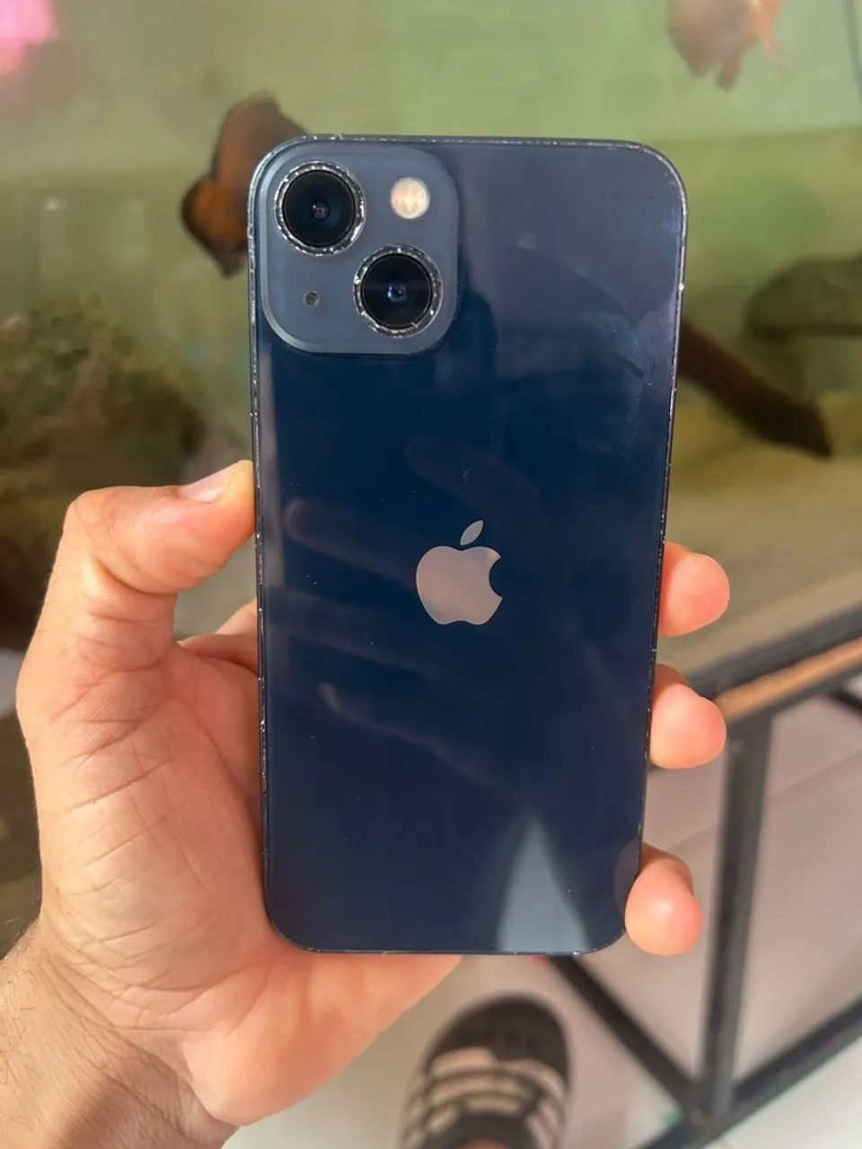 iPhone 13