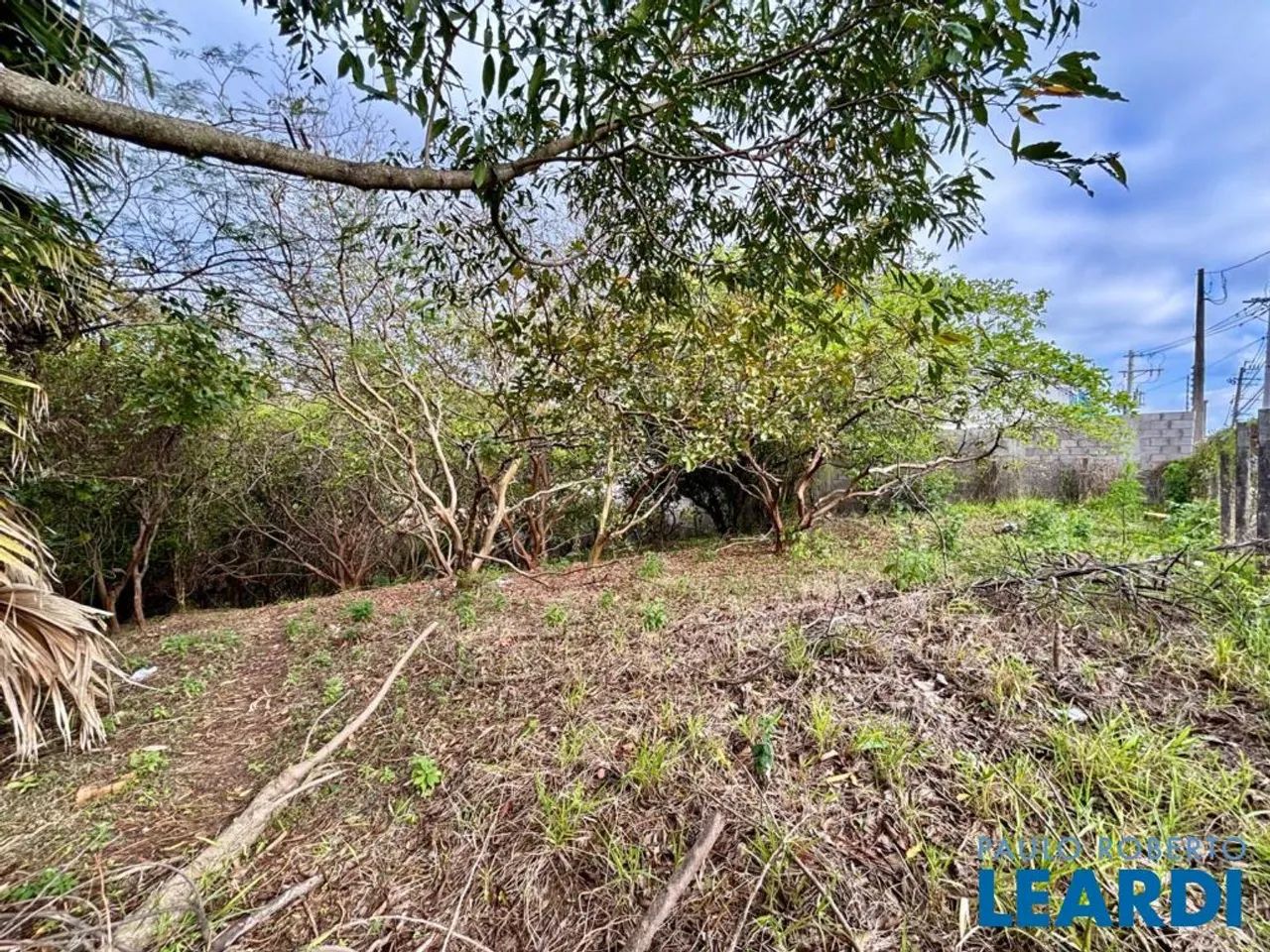 TERRENO - VALE VERDE - SP - Foto 4