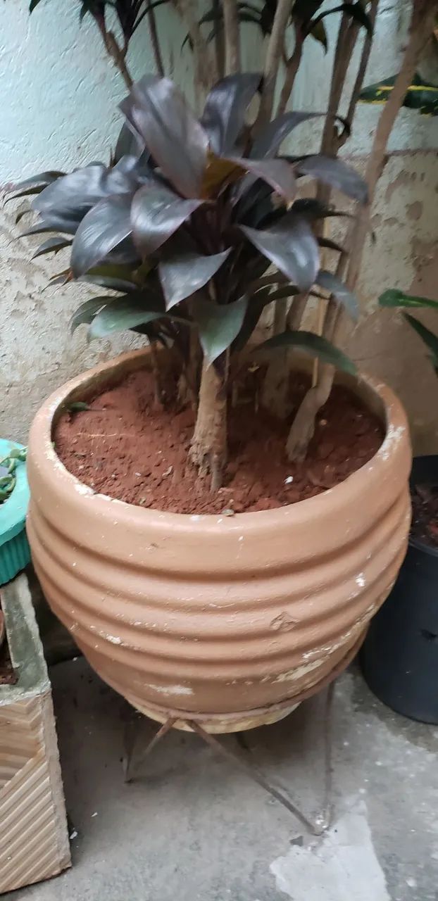 Vaso de planta  - Foto 3