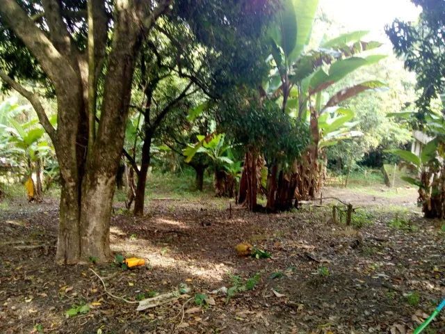 TERRENO 2.000m2 À VENDA - SOROCABA/SP - Foto 5