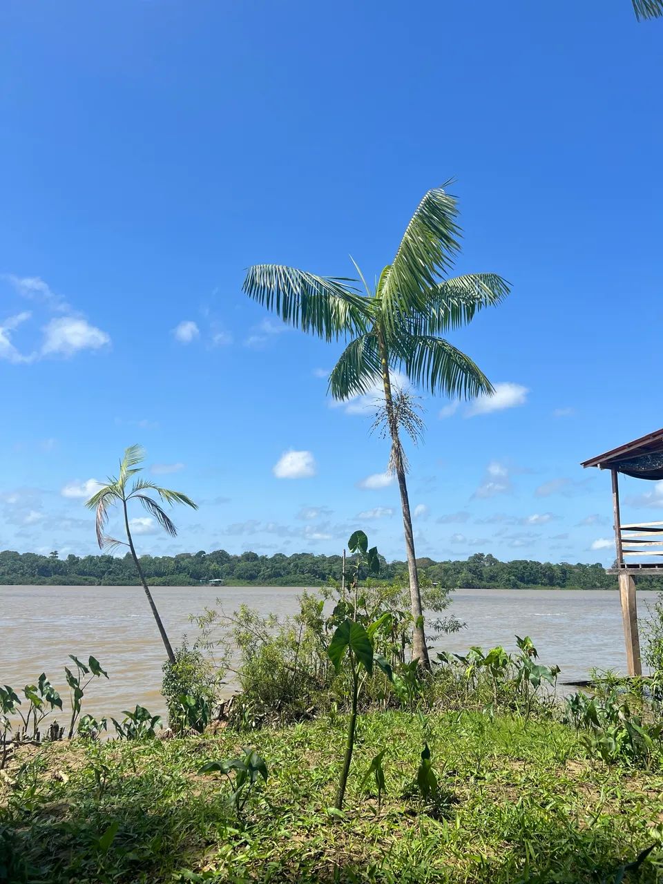 Ilha do Combú - 55 mil 