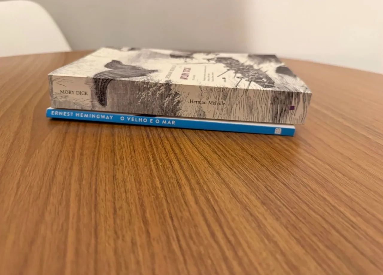 livros moby dick + o velho e o mar  - Foto 3