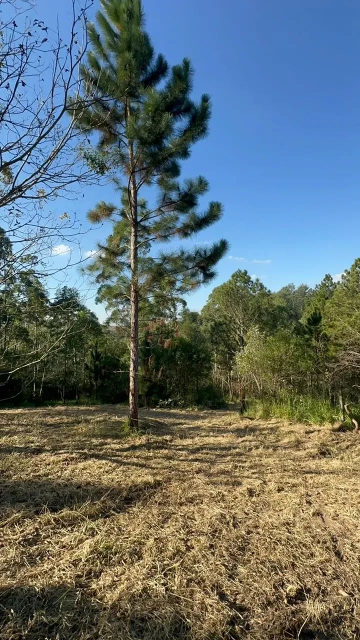 1.000m² em Mairinque | Viva Cercado Pela Natureza - Foto 3