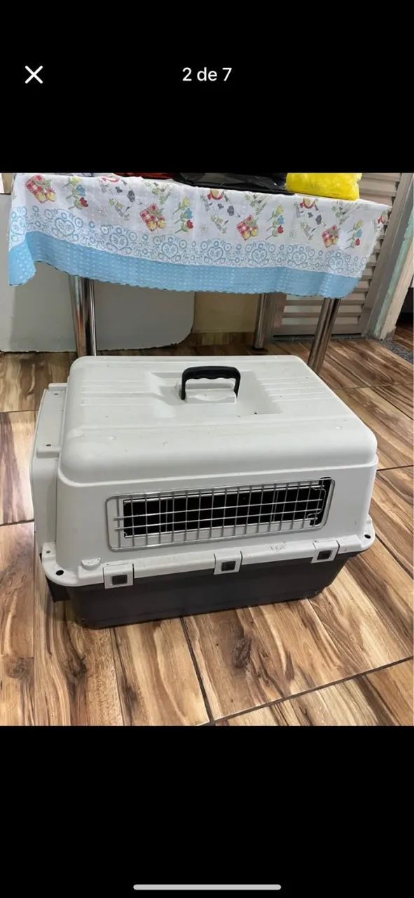 Caixa de Transporte para Cães e Gatos
