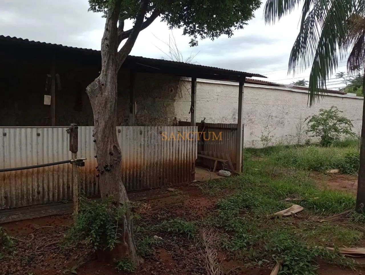 terreno - Jardim Eulina - Campinas - Foto 3