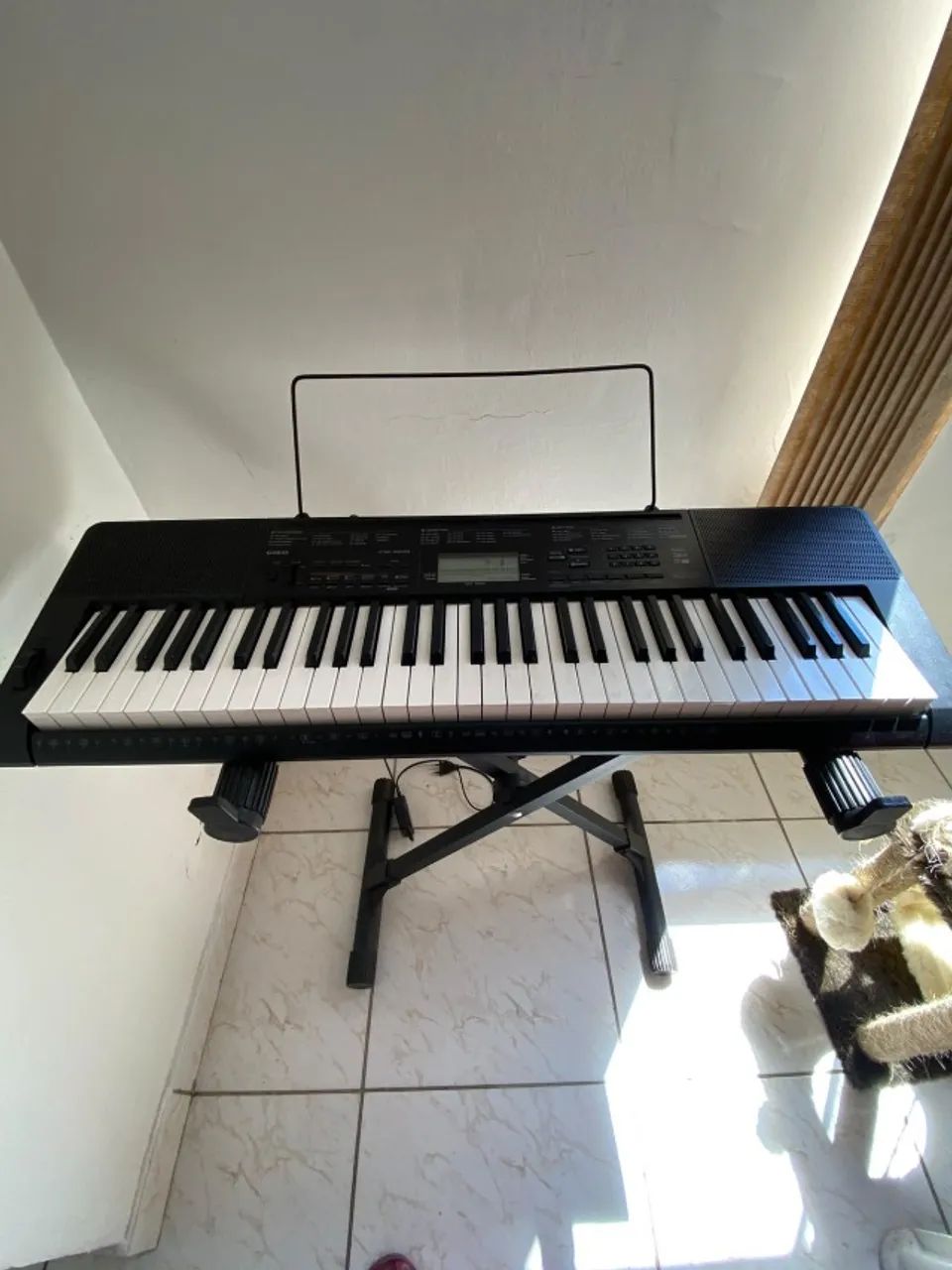 Teclado Casio + suporte