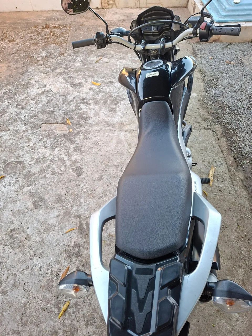 Bros ESDD 2015  - Foto 2