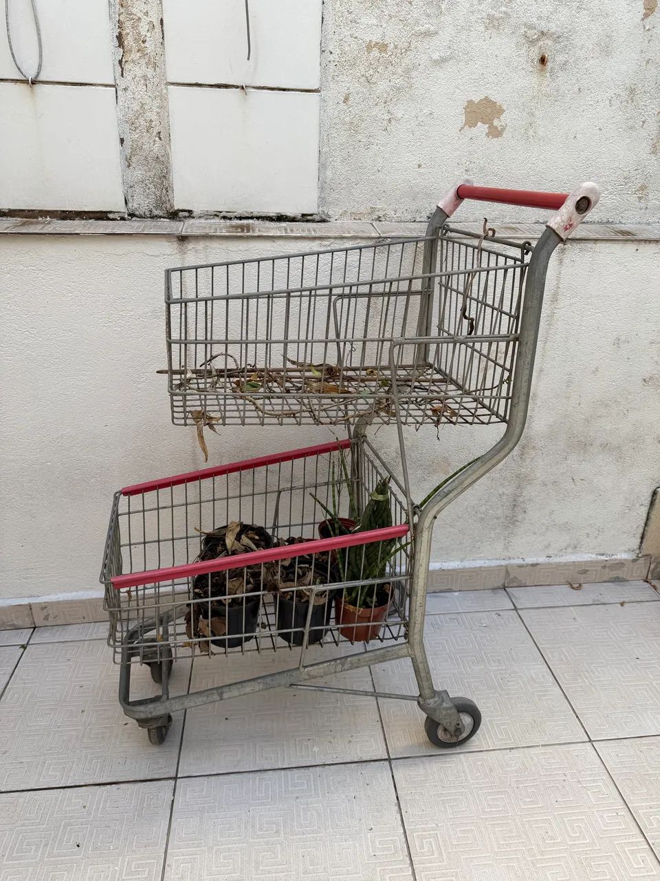Carrinho de mercado dois cestos