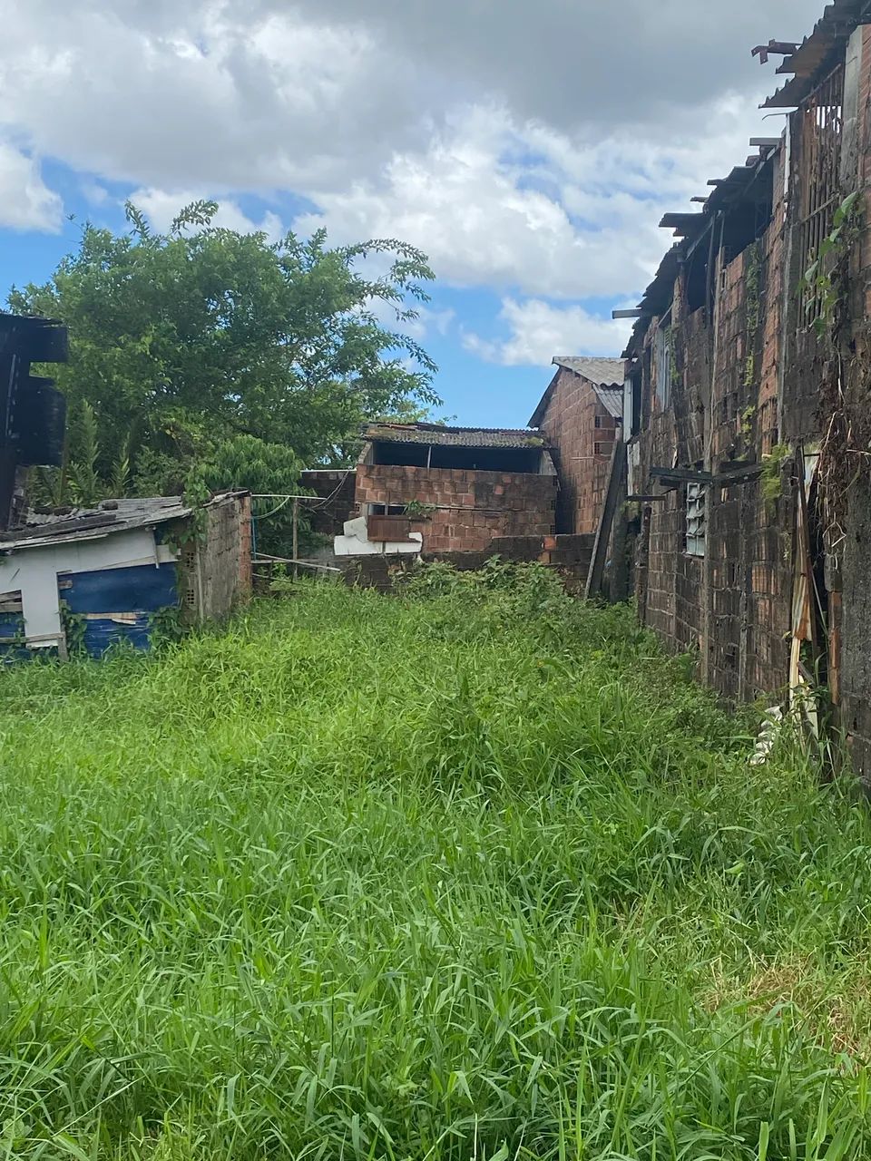 Vendo este terreno  - Foto 3