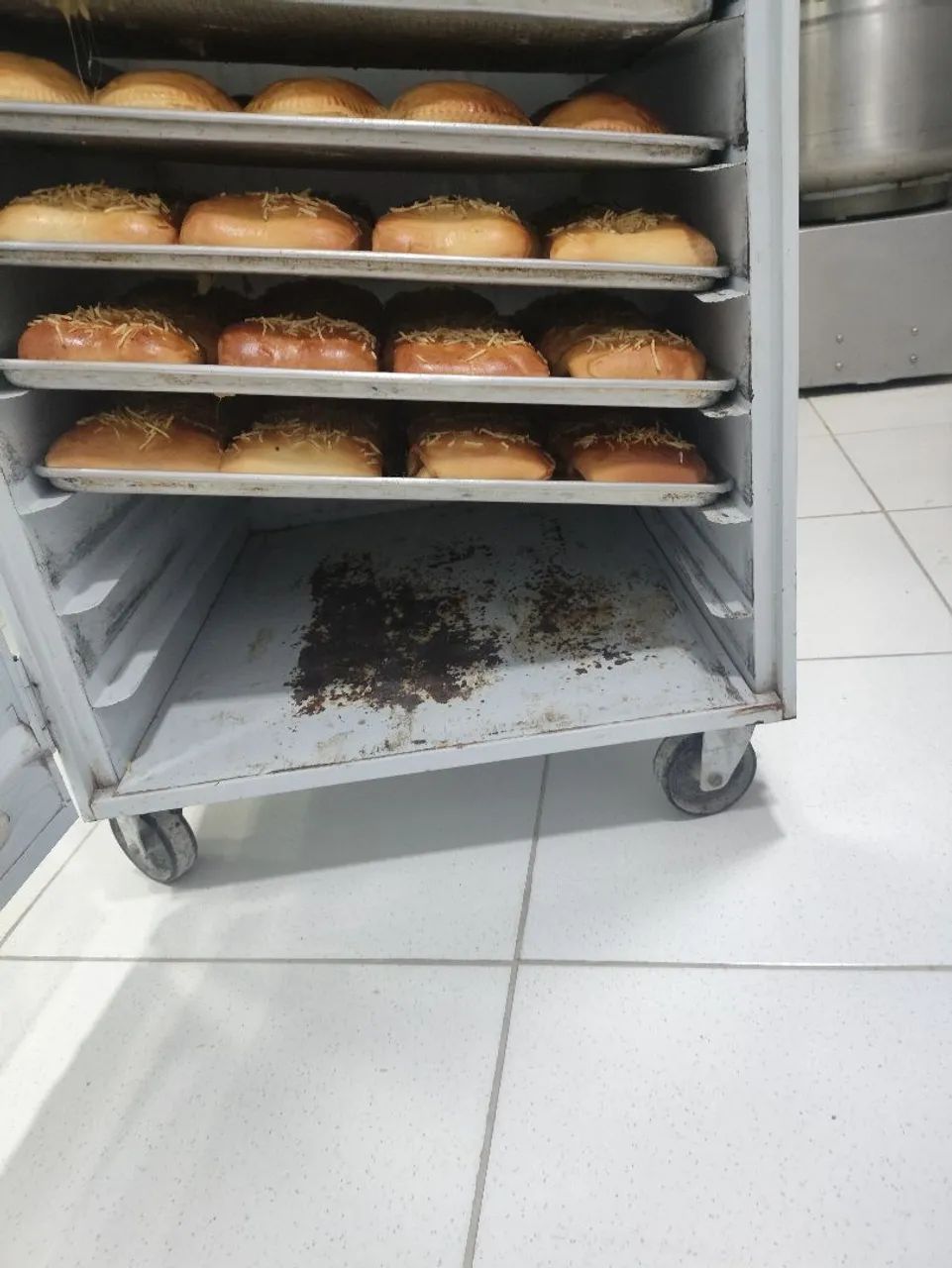 Armário para fermentação  - Foto 3