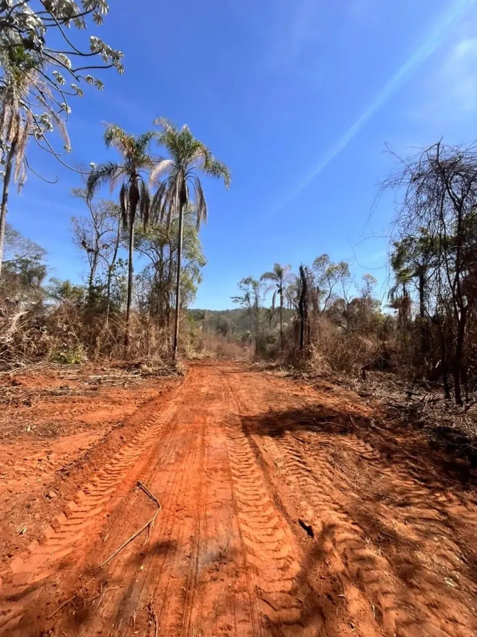 Terreno em Terra Preta com grande potencial! - Foto 4
