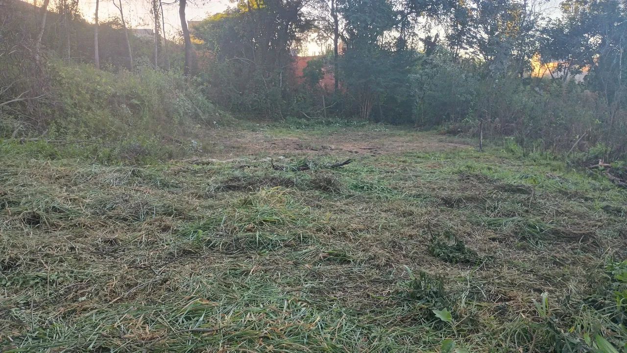 Lote em igarapé 