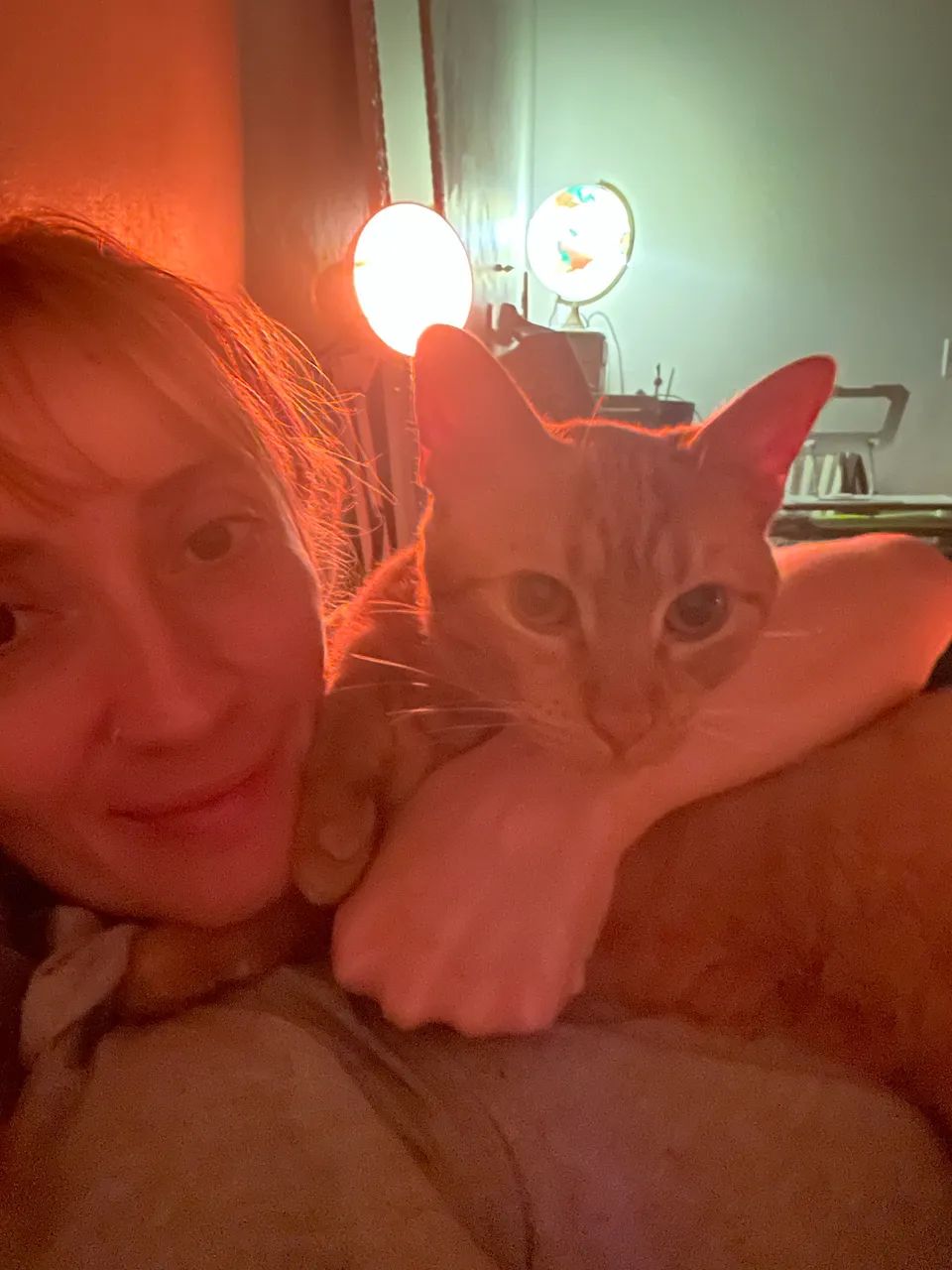 Gatinha laranja procura lar para adoção responsável  - Foto 3