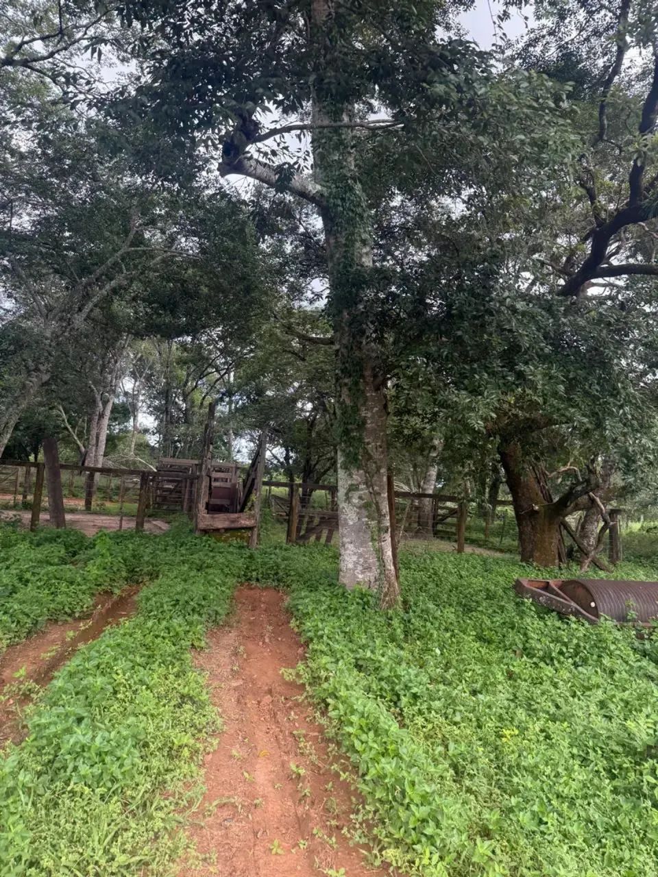 Fazenda a venda, em Dianópolis - Tocantins!!! - Foto 2