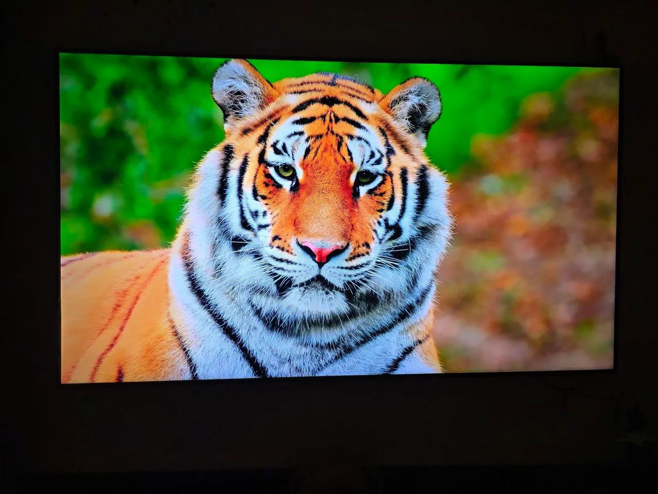 SmarTV Qled - Foto 3