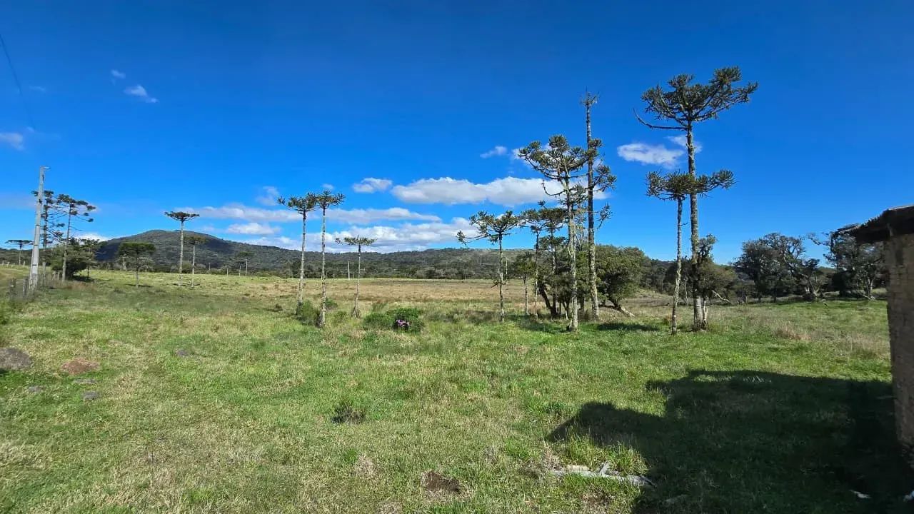 Sítio 2 km de Urupema