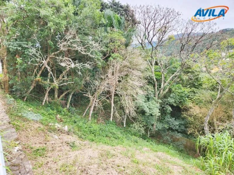 Terreno - Florianópolis SC - Foto 5