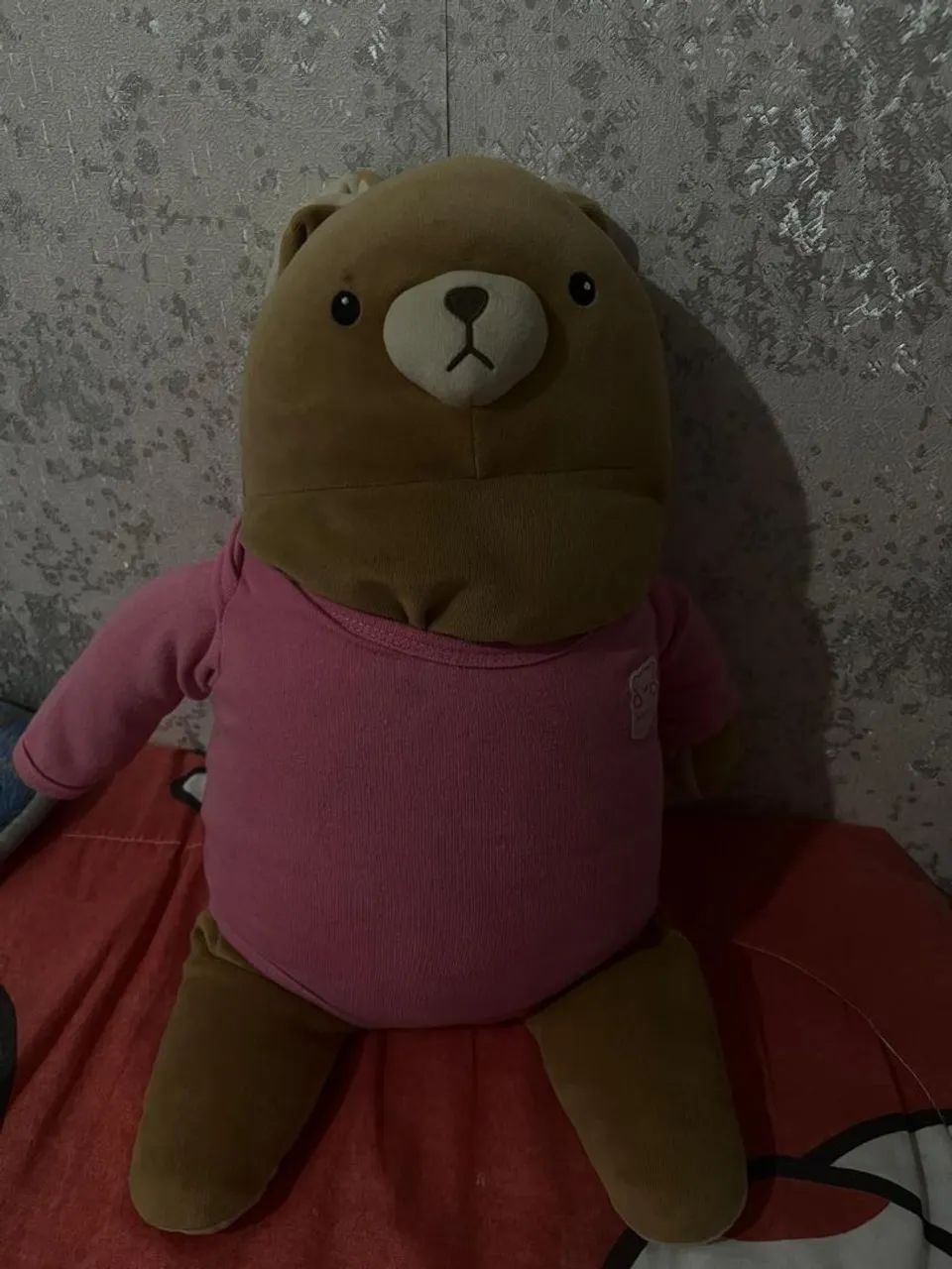 Coelho miniso - Foto 5