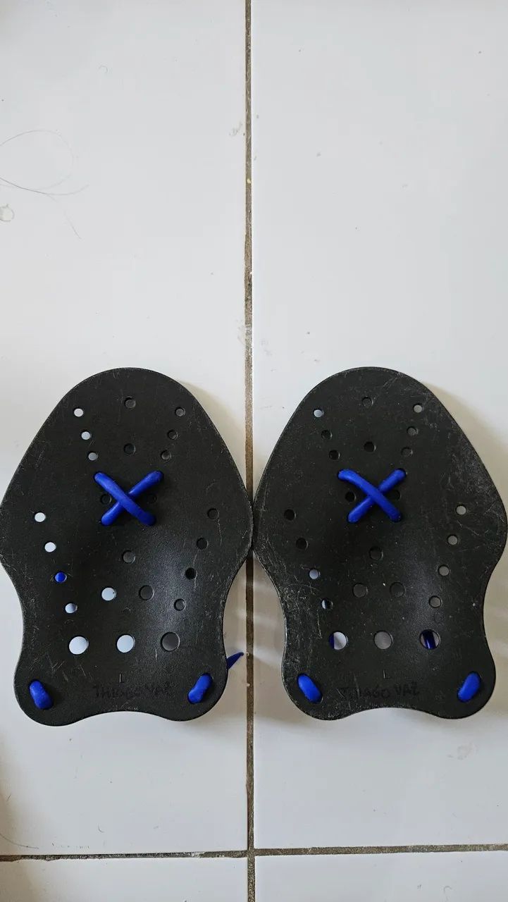 Nadadeira e Palmar Leader - Foto 3