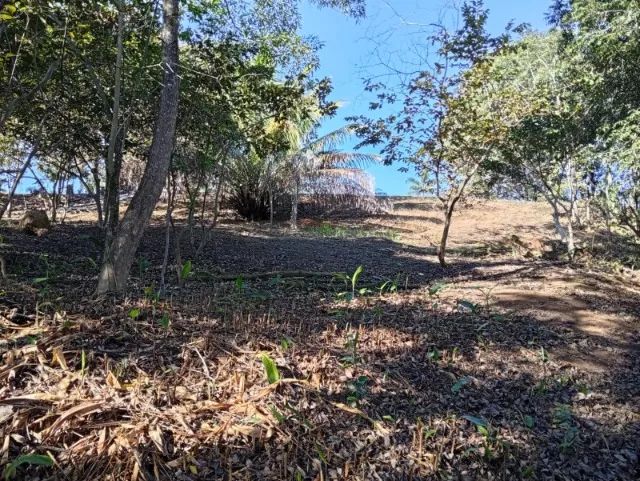 Vendo Terreno 800m²  - Foto 2