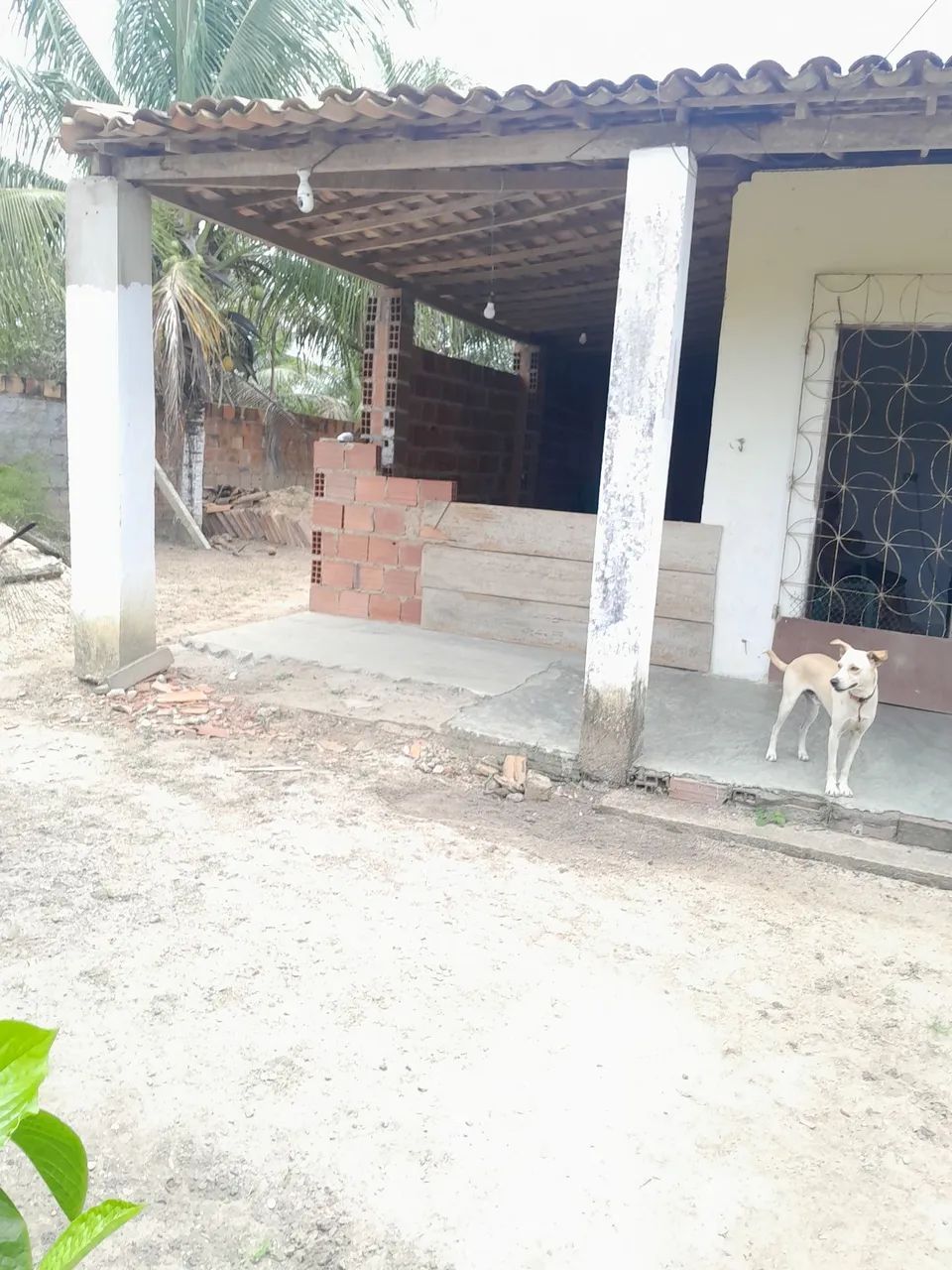 Chacara pra vender e trocar  - Foto 4