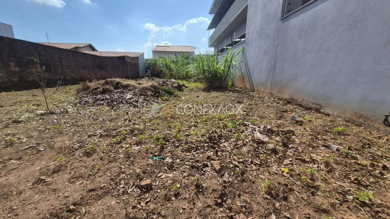 terreno - Jardim dos Oliveiras - Campinas - Foto 3