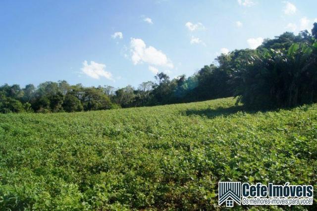 Área de terras com 11.15 hectares em Pinhal Alto - Nova Petrópolis / RS