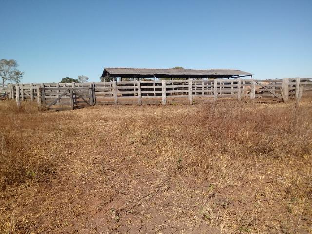 Fazenda de 1940 hectares, ha 60 km de Cuiabá, na região do manso - Foto 12