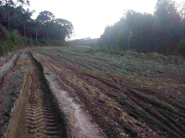 REF. 2162 Fazenda 30 alqs Reflorestamento, 40 alqs Plantio, 30 Alqs pasto, 20 Alqs APP - Foto 2