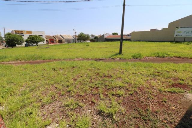 Terreno para alugar em Jardim colina verde, Maringa cod:L51431 - Foto 9