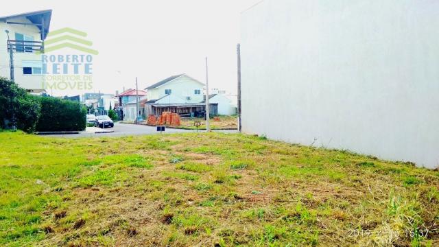 Terreno, Protásio Alves, Porto Alegre-RS - Foto 6