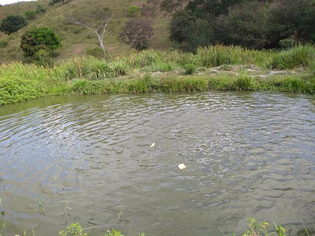 Sitio - Foto 5