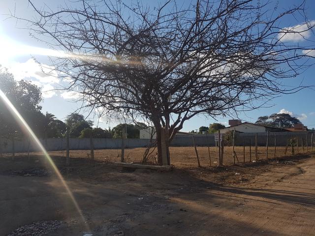Terreno de esquina 2000m2 Gravatá - Foto 3