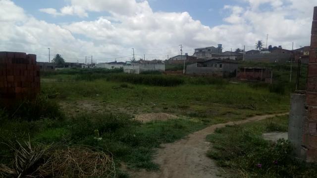 Tereno em rusarinho Paudalho - Foto 4