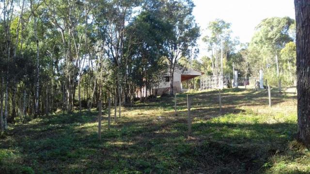 Chácara à venda, 6904 m², com 1 construção, loteamento areia branca dos nogueiras- mandiri - Foto 8