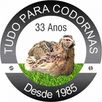 TudoparaCodornas