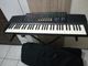 Teclado Casio