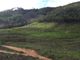 Fazenda