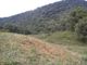 Terrenos na serra de São Bento, a 18 km de Corupa, com 30.000 m², valor 130.000,00