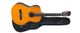 Violão Acústico Michael Antares VM19E NS Semi Nov