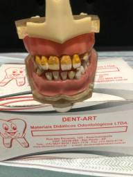 Título do anúncio: Manequim de Periodontia Dent Art  