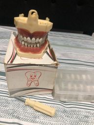 Título do anúncio: Manequim de  Dentística Dent Art 